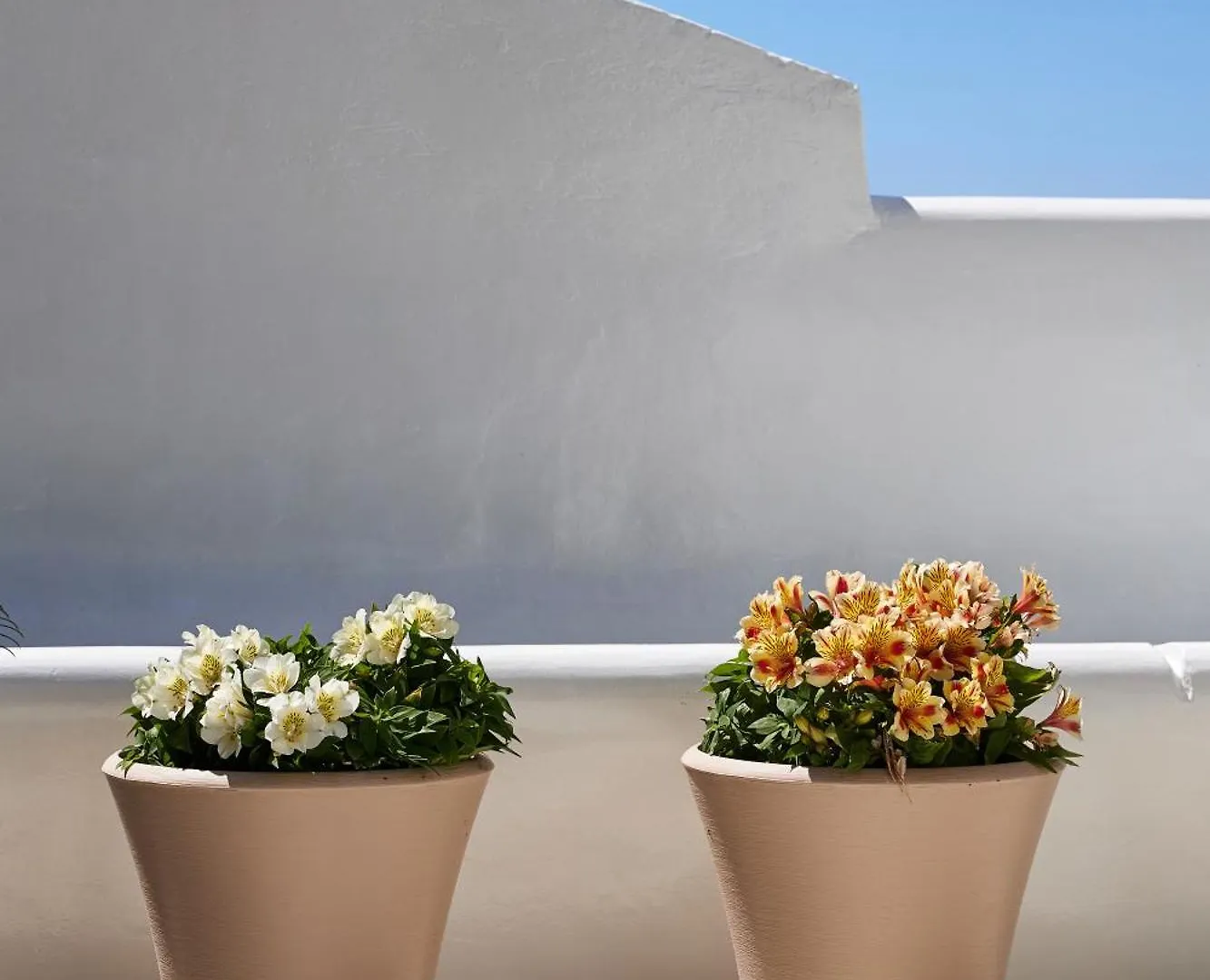 Sand Lily Villa Mykonos Mykonos Town